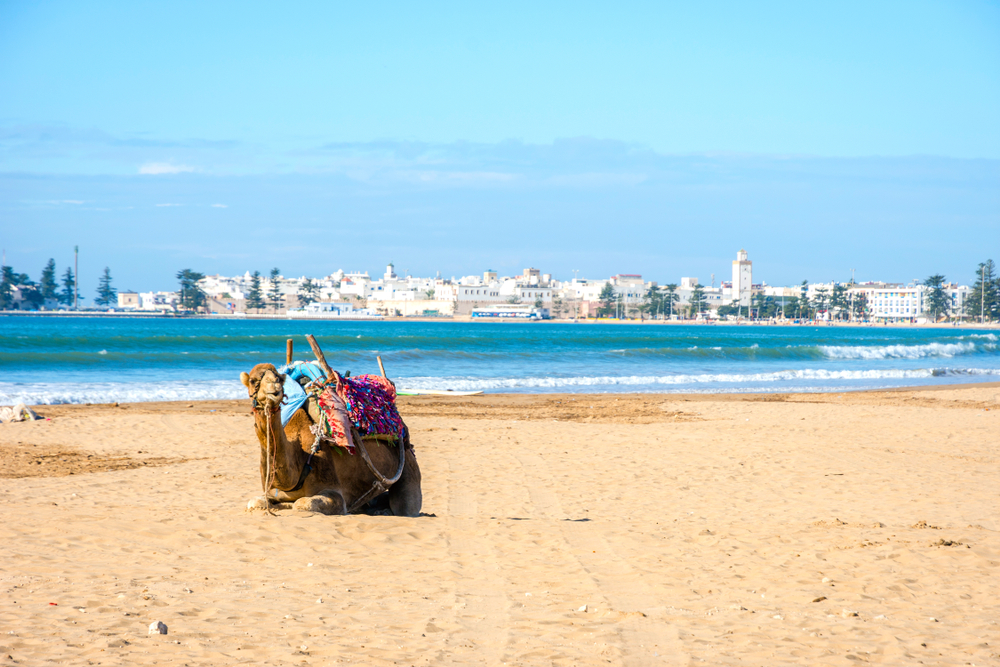 Plaja Essaouira