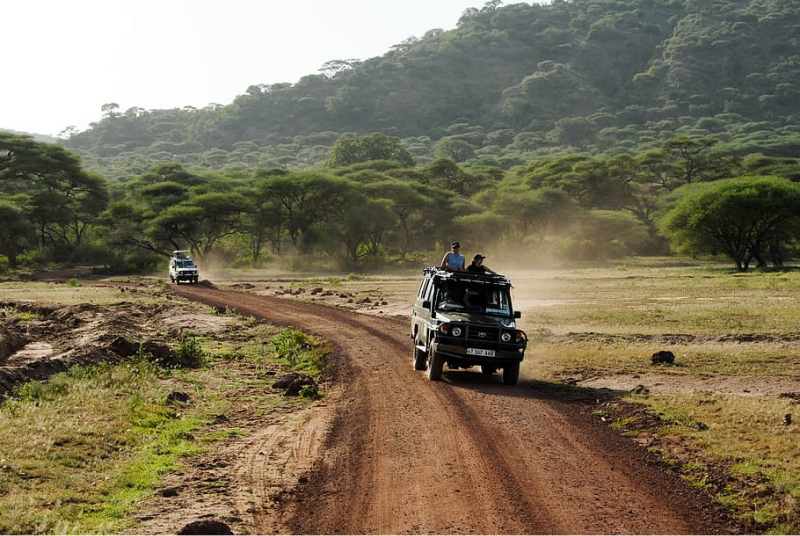 dertour safari kenia